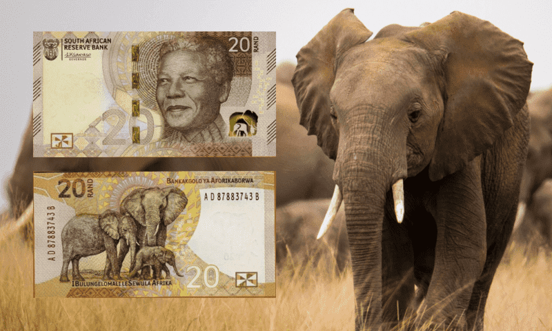 Why the Big Five animals are on South Africa's banknotes - African Savanna Elephant featured alongside the front and back of South Africa's banknotes (R20.00)