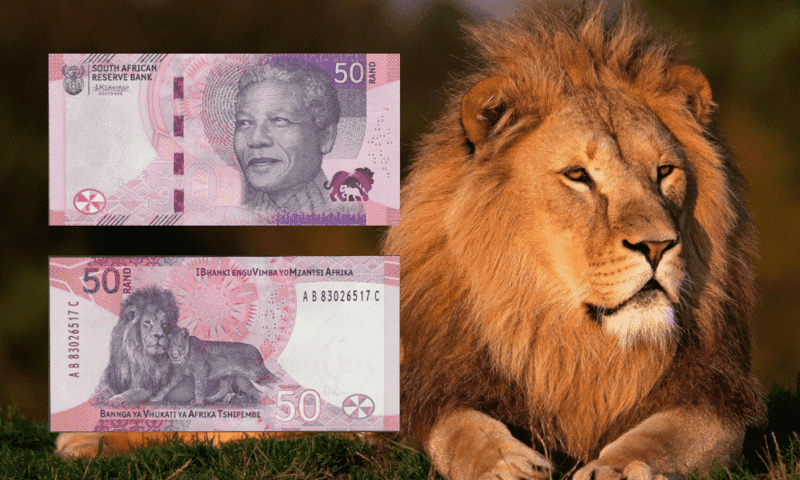 Why the Big Five animals are on South Africa's banknotes: Male African Lion featured alongside the front and back of South Africa's R50 banknote.
